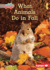 What Animals Do in Fall Format: Paperback