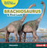 Brachiosaurus Format: Paperback