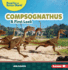 Compsognathus Format: Paperback