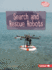 Search and Rescue Robots Format: Paperback