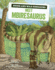 Meet Mbiresaurus Format: Library Bound