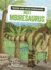 Meet Mbiresaurus Format: Paperback