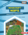Minecraft Maps: Unofficial Gamer Guide (Minecraft Zone (Updog Books? ))