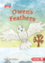 Owen's Feathers Format: Paperback