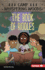 The Book of Riddles Format: Paperback