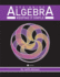 Beginning Algebra: Keeping it Simple