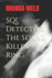 Sql Detective