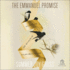 The Emmanuel Promise: Discovering the Security of a Life Held By God