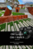 The Complete Guide to the Om System Om-1 Mark II (Color Edition)