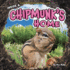 Inside a Chipmunk's Home (Underground Animal Life)