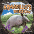Inside an Armadillo's Burrow (Underground Animal Life)
