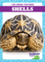 Shells (I See Animal Textures! )