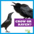 Crow Or Raven? (Bullfrog Books: Spot the Differences)
