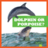 Dolphin Or Porpoise? (Spot the Differences)