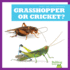Grasshopper Or Cricket? (Bullfrog Books: Spot the Differences)