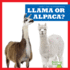 Llama Or Alpaca? (Bullfrog Books: Spot the Differences)