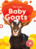 Baby Goats (Too Cute, Blastoff! Beginners)