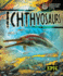 Ichthyosaurs (Ancient Marine Life)