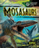 Mosasaurs (Ancient Marine Life)