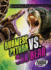 Burmese Python Vs. Sun Bear (Animal Battles)