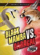 Black Mamba Vs. Caracal (Animal Battles)