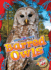 Barred Owls (Who's Hoo? Owls! )