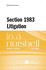 Section 1983 Litigation in a Nutshell (Nutshells)