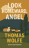 Look Homeward, Angel