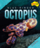 Blue-Ringed Octopus (Danger Down Under)