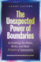 The Unexpected Power of Boundaries: Rethinking the Rules, Risks, and Real Drivers of Innovation
