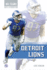 Detroit Lions (Nfl Teams)