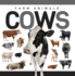 Cows