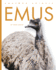 Emus
