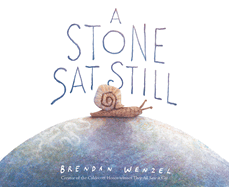A Stone Sat Still (Brendan Wenzel Picture Books)
