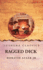 Ragged Dick