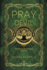 Pray for the Devil: a Paranormal Romance (the Death Witch Series)