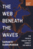 The Web Beneath the Waves: The Fragile Cables That Connect Our World