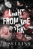 Light From the Dark