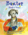 Baxter: Finds a Home