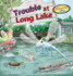 Trouble At Long Lake