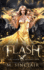 Flash