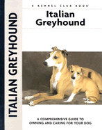 Italian Greyhound