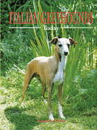 Italian Greyhounds Today - Ringpress Books (Creator)