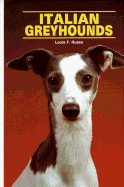 Italian Greyhounds