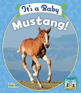 It's a Baby Mustang