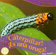 It's a Caterpillar! / �Es Una Oruga!
