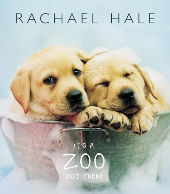 It's a Zoo Out There - Hale, Rachael