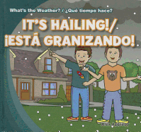 It's Hailing! / �Est� Granizando!