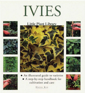 Ivies