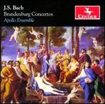 J.S. Bach: Brandenburg Concertos